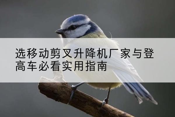 阿图什电动升降机厂家-选移动剪叉升降机厂家与登高车必看实用指南