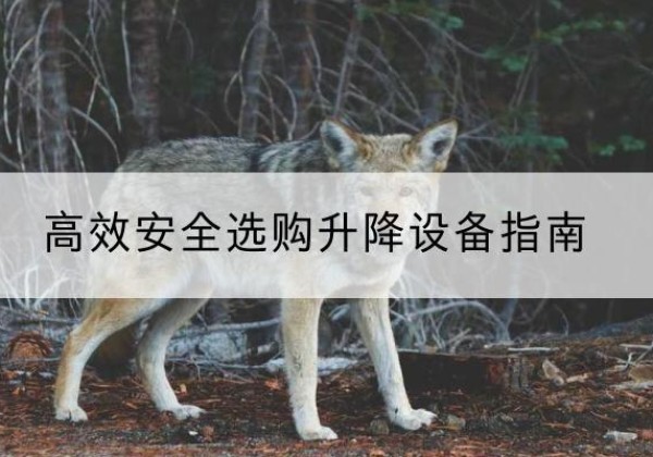 阿图什升降货梯厂家推荐-*安全选购升降设备指南