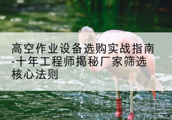 阿图什剪叉式升降机厂家-高空作业设备选购实战指南-十年工程师揭秘厂家筛选核心法则